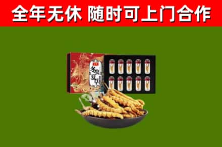 屏东回收冬虫夏草价格